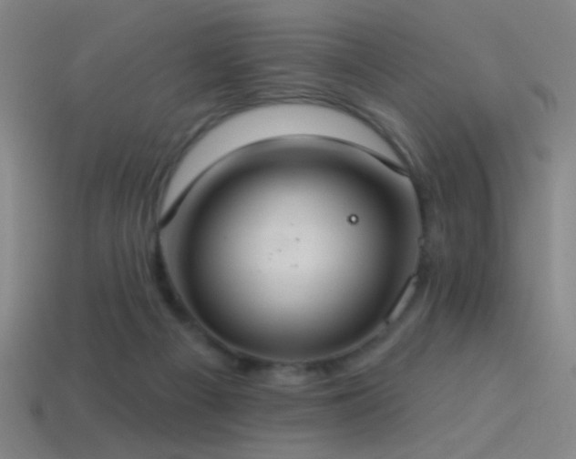 X0000114420121200910161237