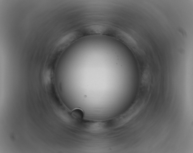 X0000114420122200910161237