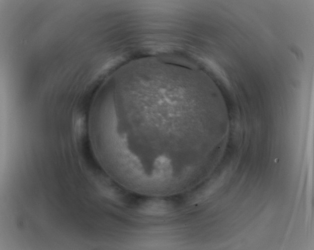 X0000114420123200910161237