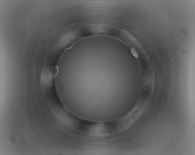 X0000114420124200910161237