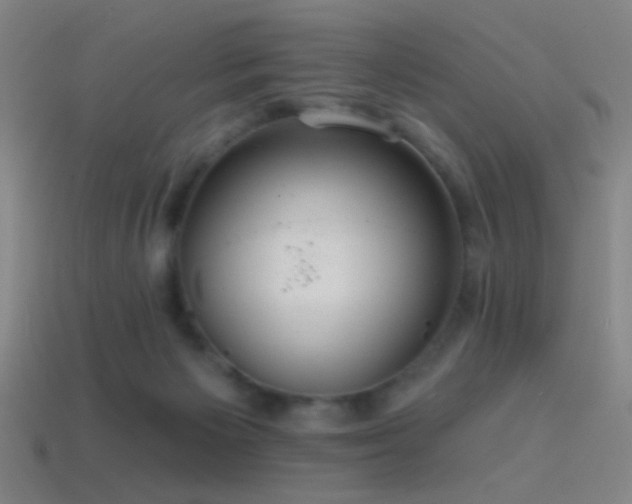 X0000114420125200910161237