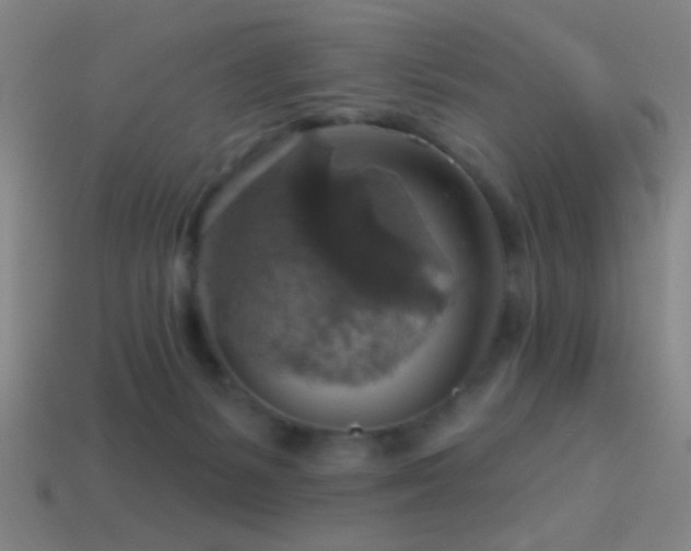 X0000114420127200910161237