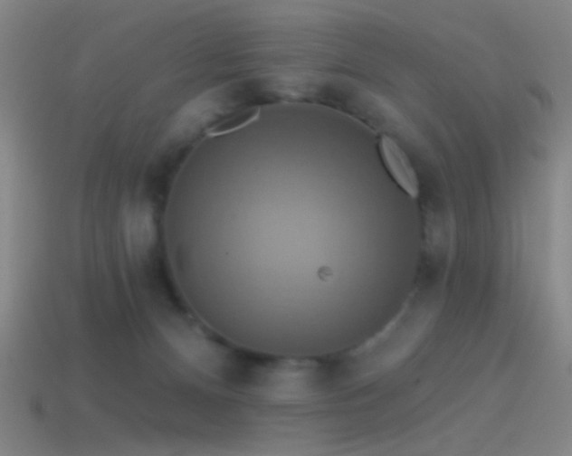 X0000114420128200910161237