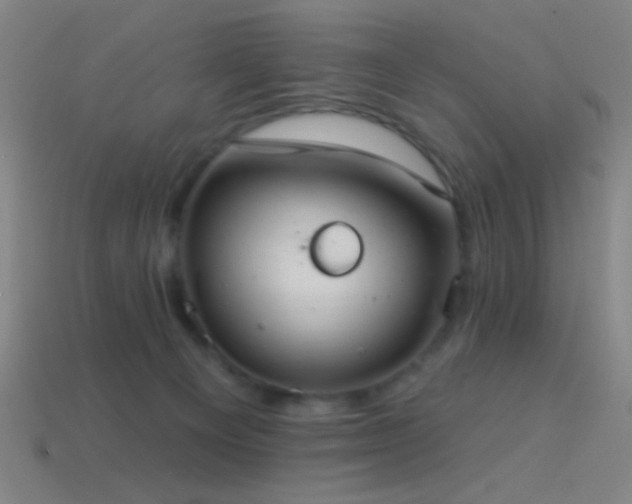 X0000114420129200910161237