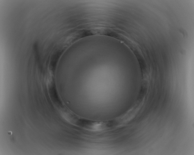 X0000114420130200910161237