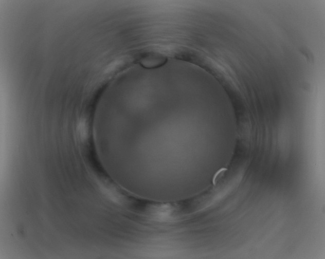 X0000114420131200910161237