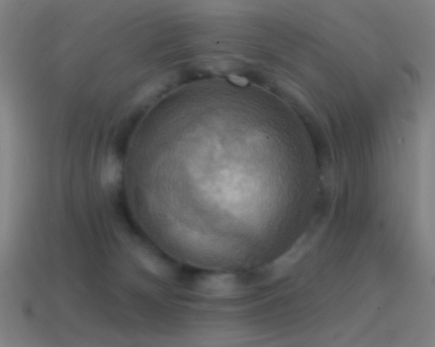 X0000114420132200910161237