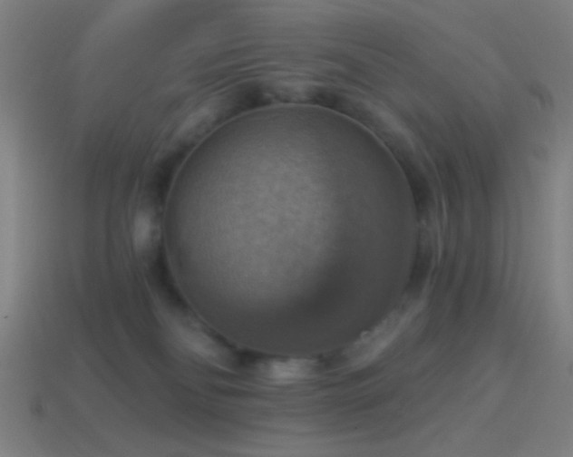 X0000114420134200910161237