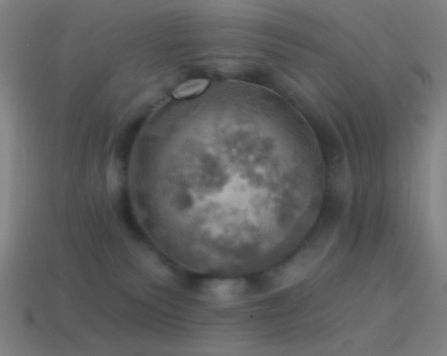 X0000114420135200910161237
