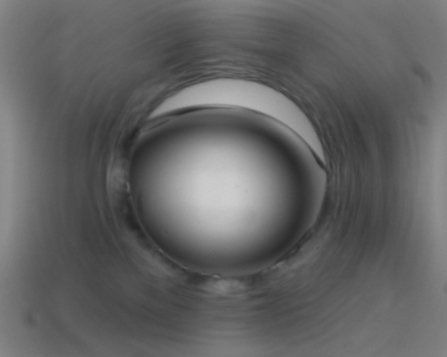 X0000114420137200910161236