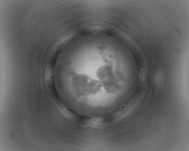 X0000114420138200910161236