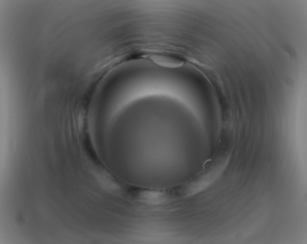 X0000114420139200910161236
