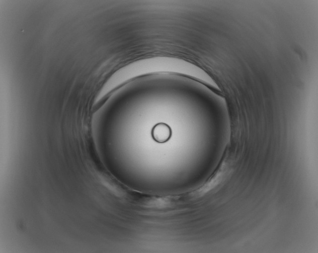X0000114420140200910161236