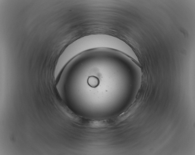 X0000114420141200910161236