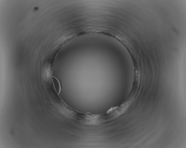 X0000114420143200910161236
