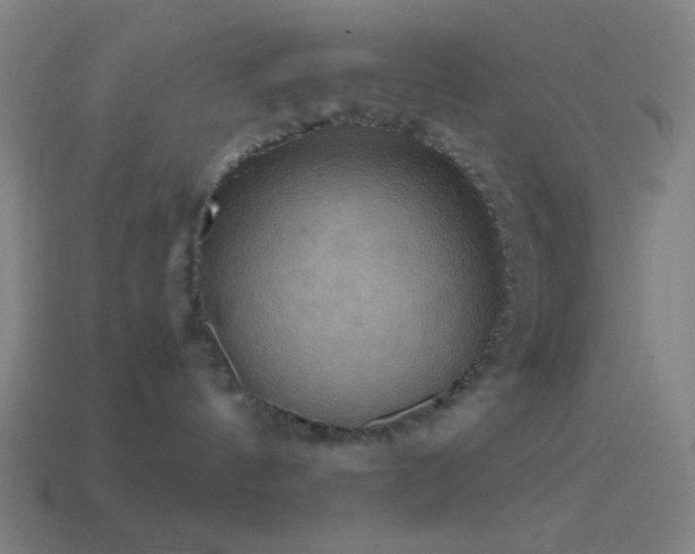 X0000114420144200910161236