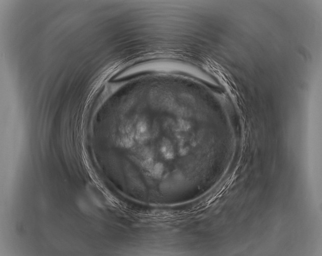 X0000114420145200910161236