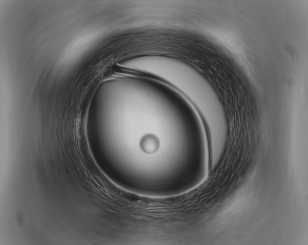 X0000114420146200910161236