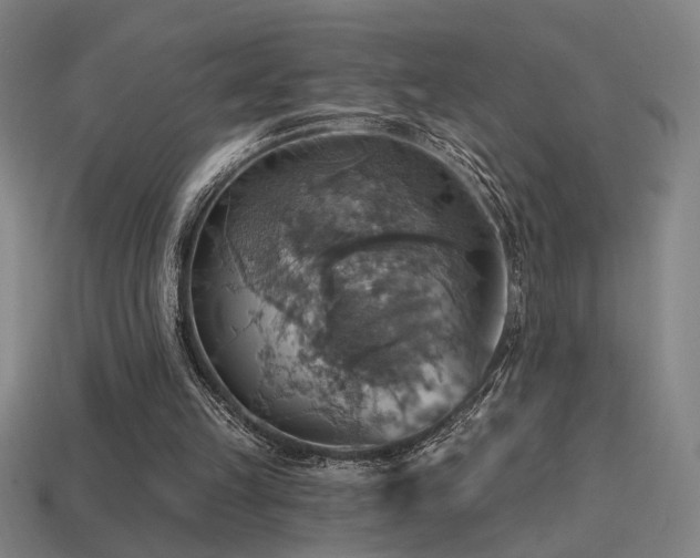 X0000114420149200910161236