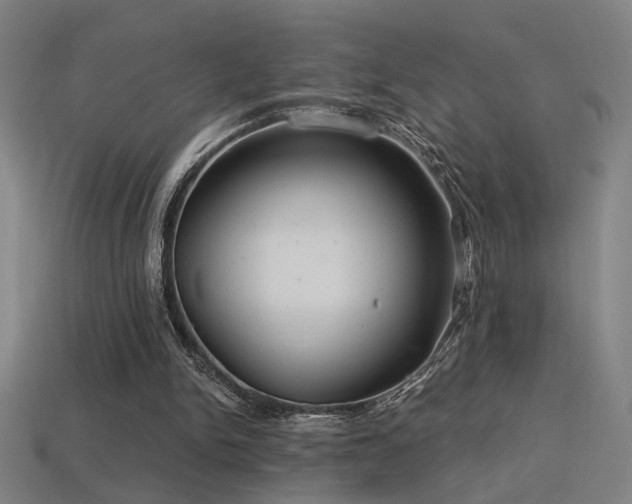 X0000114420150200910161236