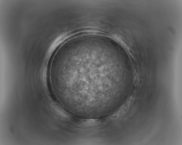 X0000114420151200910161236