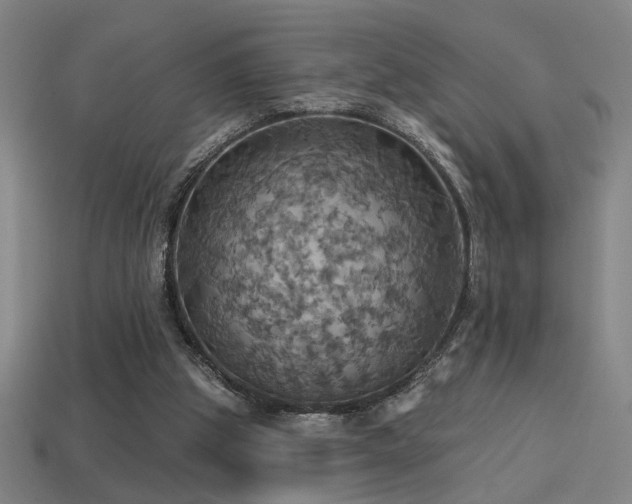 X0000114420153200910161236