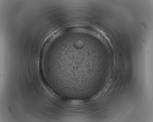 X0000114420154200910161236