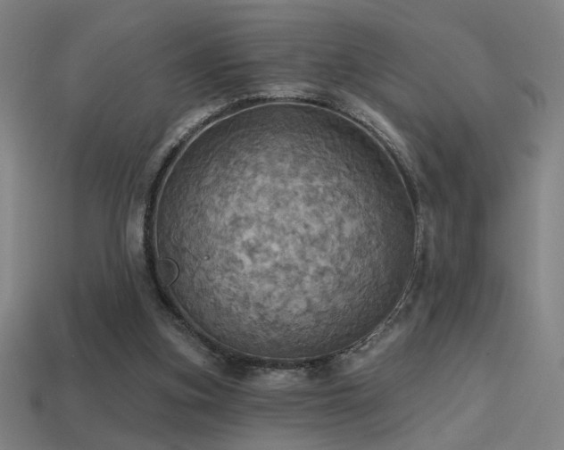X0000114420155200910161236