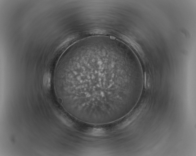 X0000114420157200910161236