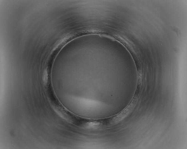 X0000114420158200910161236