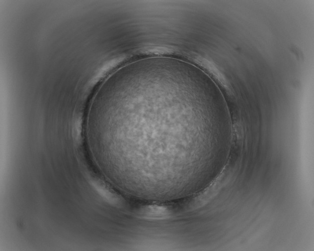 X0000114420159200910161236