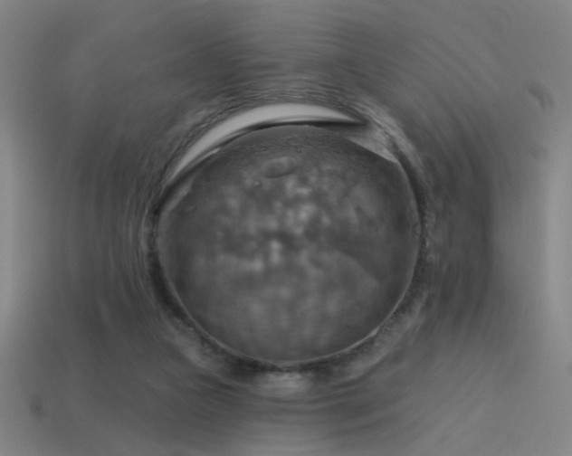 X0000114420161200910161236