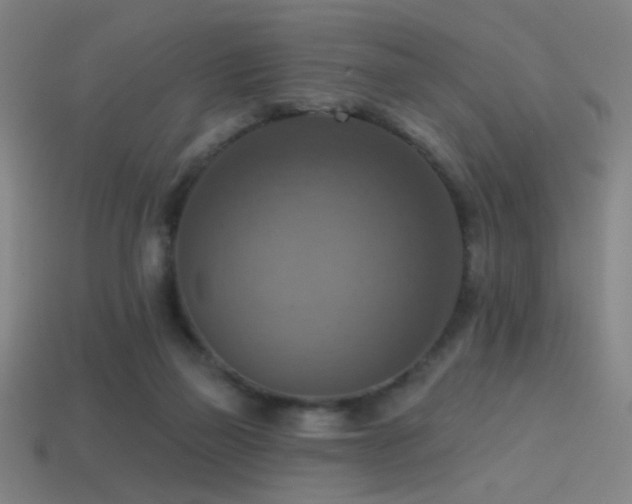 X0000114420165200910161236
