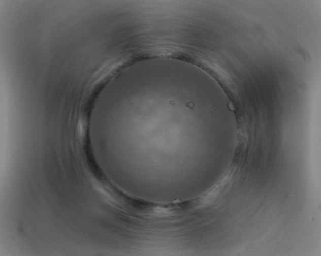 X0000114420166200910161236