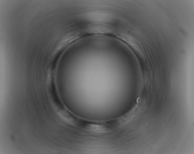 X0000114420167200910161236