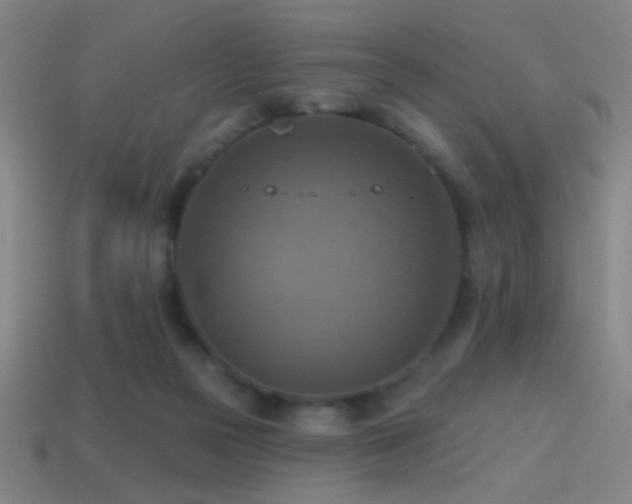 X0000114420169200910161236