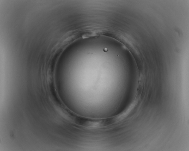 X0000114420170200910161236