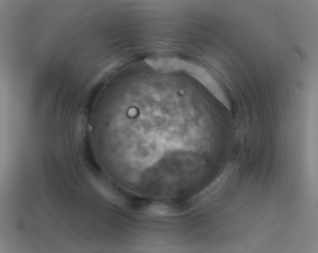 X0000114420171200910161236