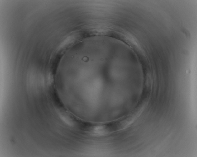 X0000114420173200910161236