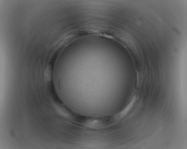 X0000114420174200910161236