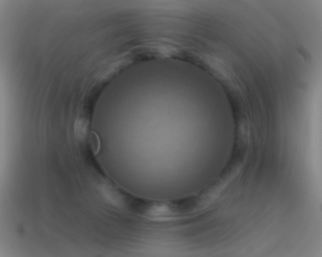 X0000114420177200910161236
