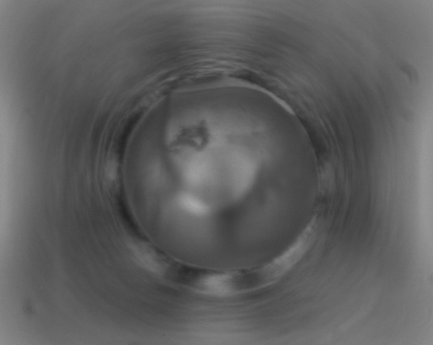 X0000114420178200910161236