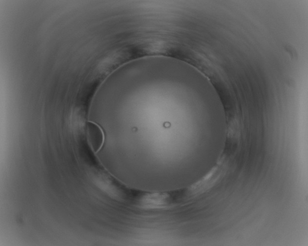 X0000114420179200910161236