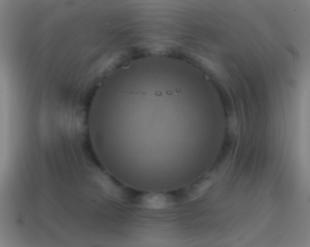 X0000114420181200910161236