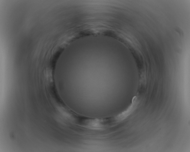 X0000114420182200910161236