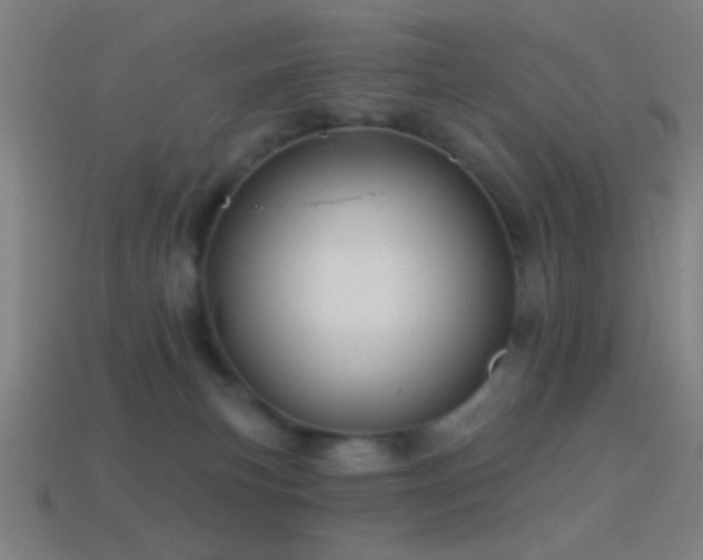 X0000114420183200910161236