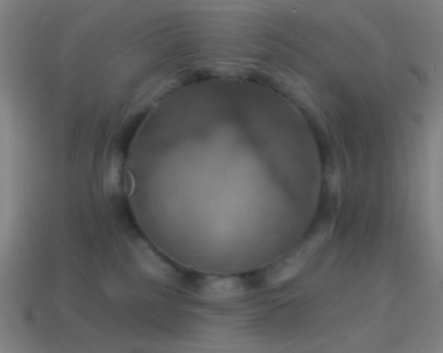 X0000114420185200910161236