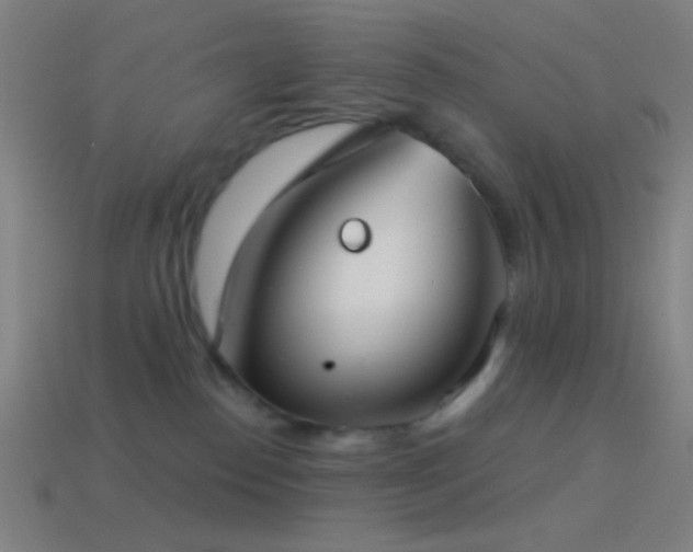 X0000114420186200910161236