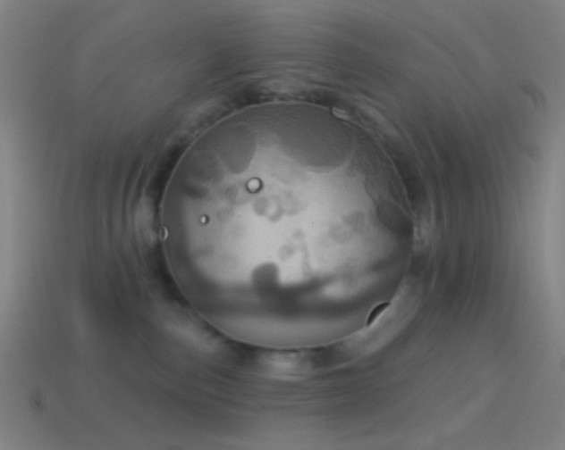 X0000114420187200910161236