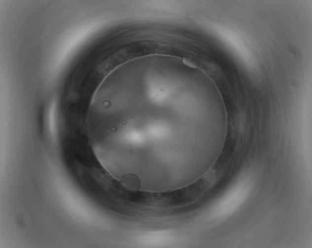 X0000114420189200910161236